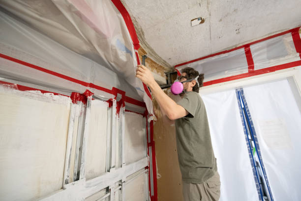 Best Emergency Mold Remediation  in Rio Communities, NM