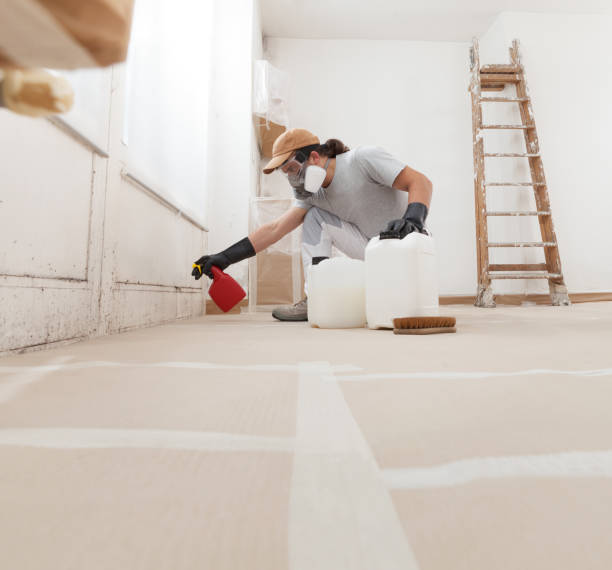 Best Mold Removal for HVAC Installations  in Rio Communities, NM